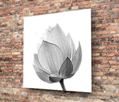 Flower Glass Wall Art.