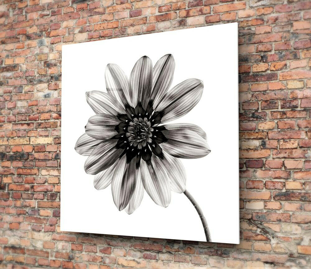 Flower Glass Wall Art.