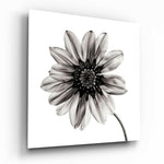 Flower Glass Wall Art.
