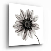 Flower Glass Wall Art.