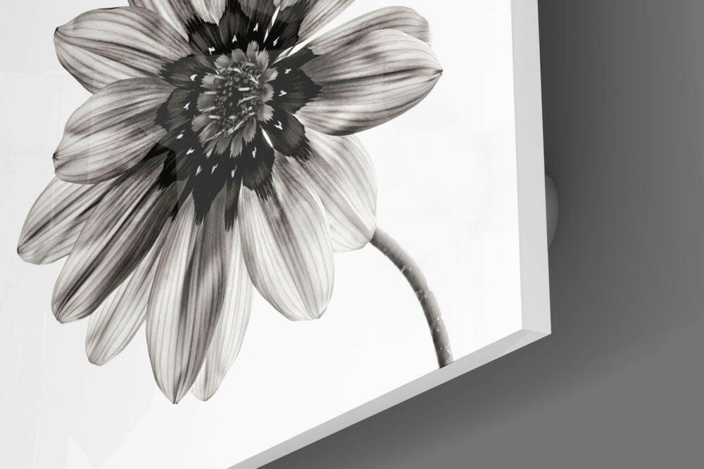 Flower Glass Wall Art.