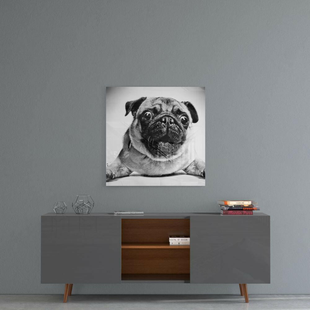 Pug Glass Wall Art.