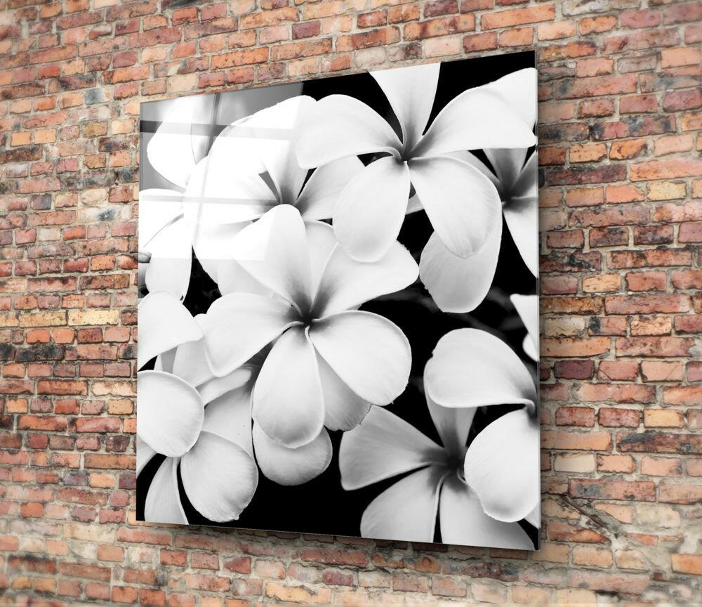 Black and White Flowers Glass Wall Art.