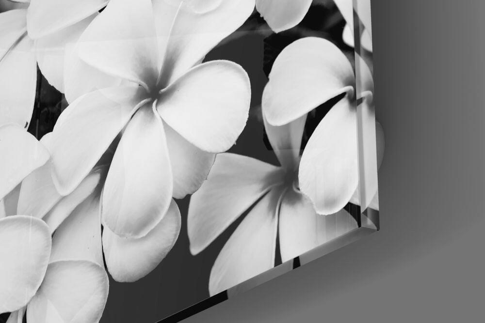 Black and White Flowers Glass Wall Art.
