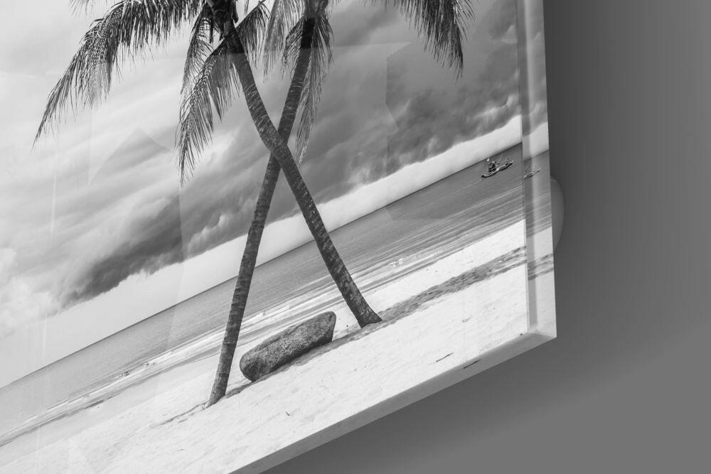 Palm Trees Glass Wall Art.