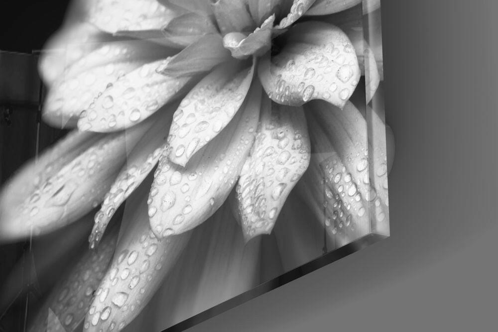 Flower Glass Wall Art.