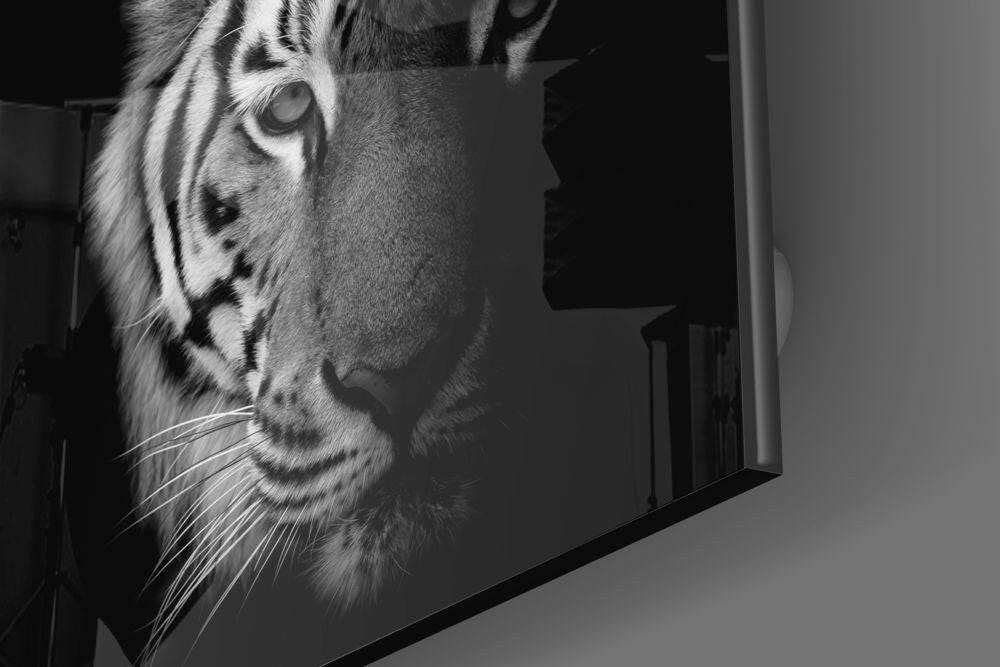 Tiger Glass Wall Art.