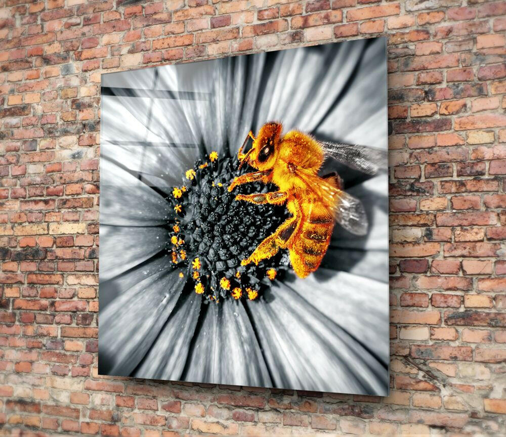Bee Glass Wall Art.