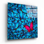 Butterfly Glass Wall Art.