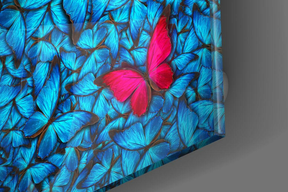 Butterfly Glass Wall Art.