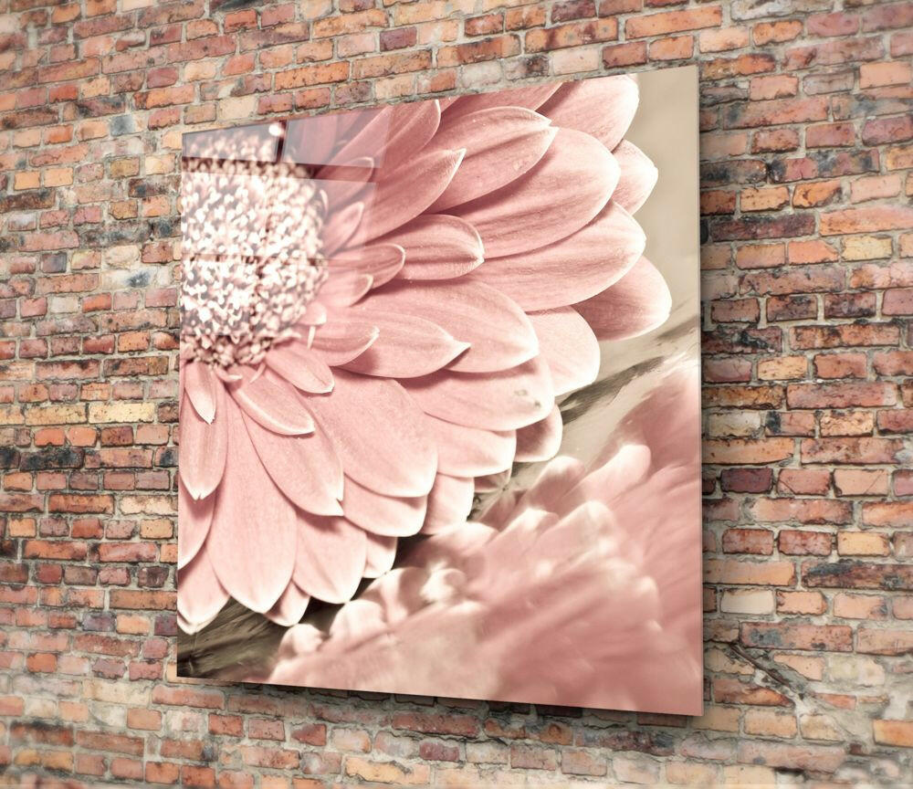 Pink Flower Glass Wall Art.