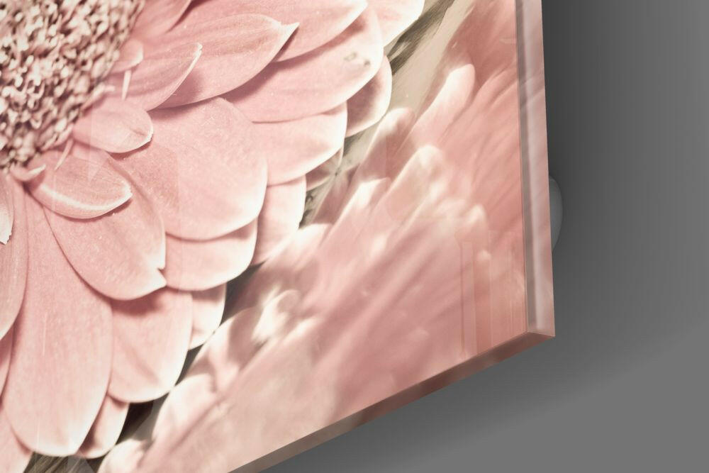 Pink Flower Glass Wall Art.