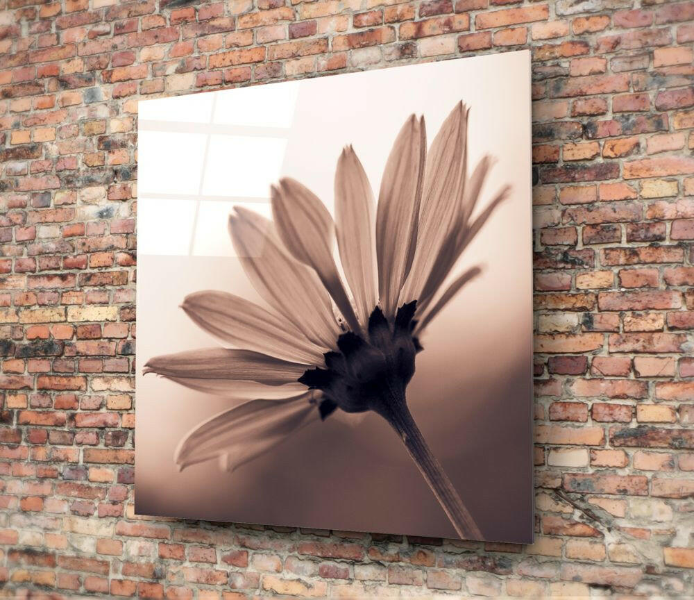 Flower Glass Wall Art.