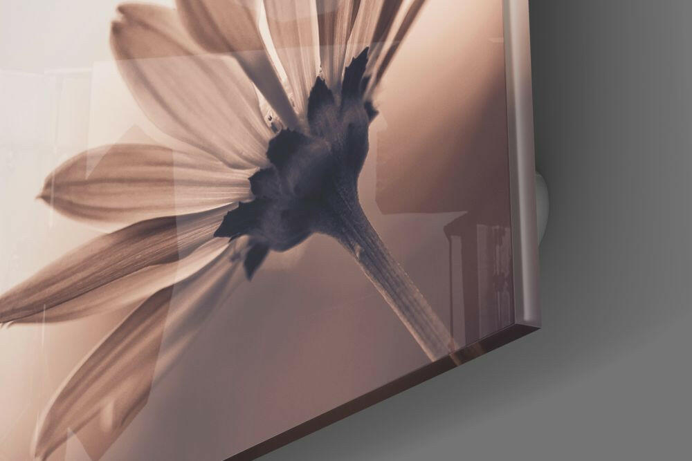 Flower Glass Wall Art.