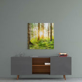 Forest Glass Wall Art.