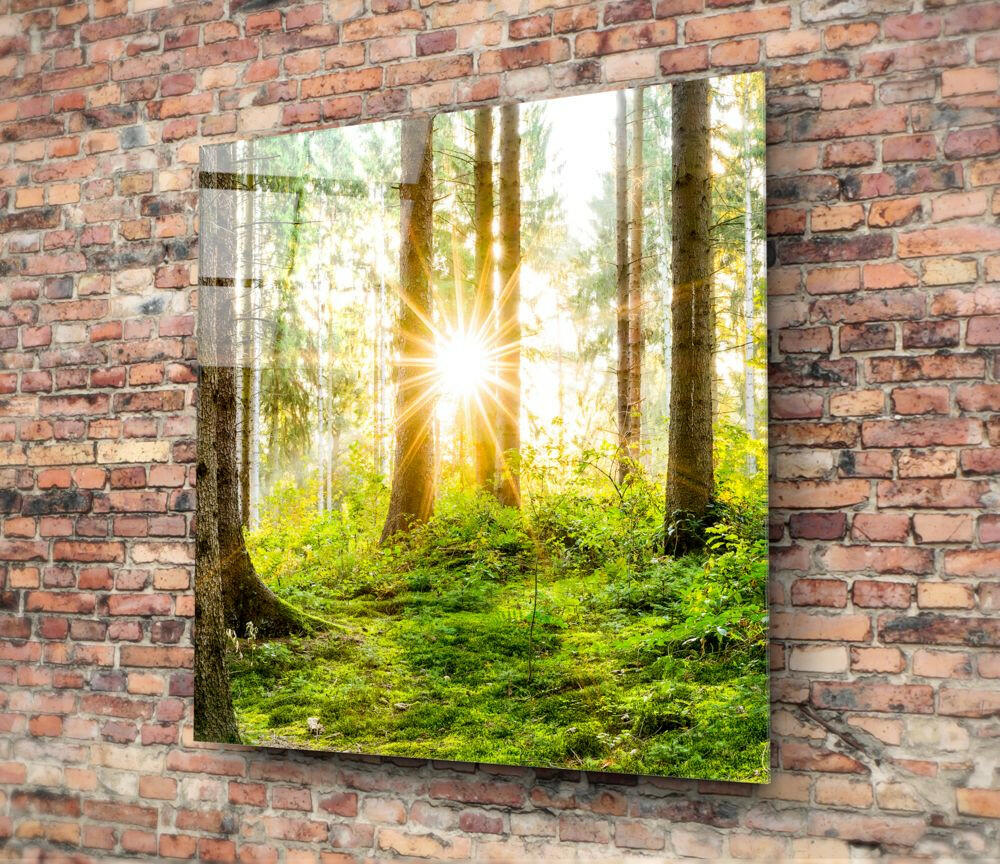 Forest Glass Wall Art.
