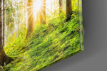 Forest Glass Wall Art.