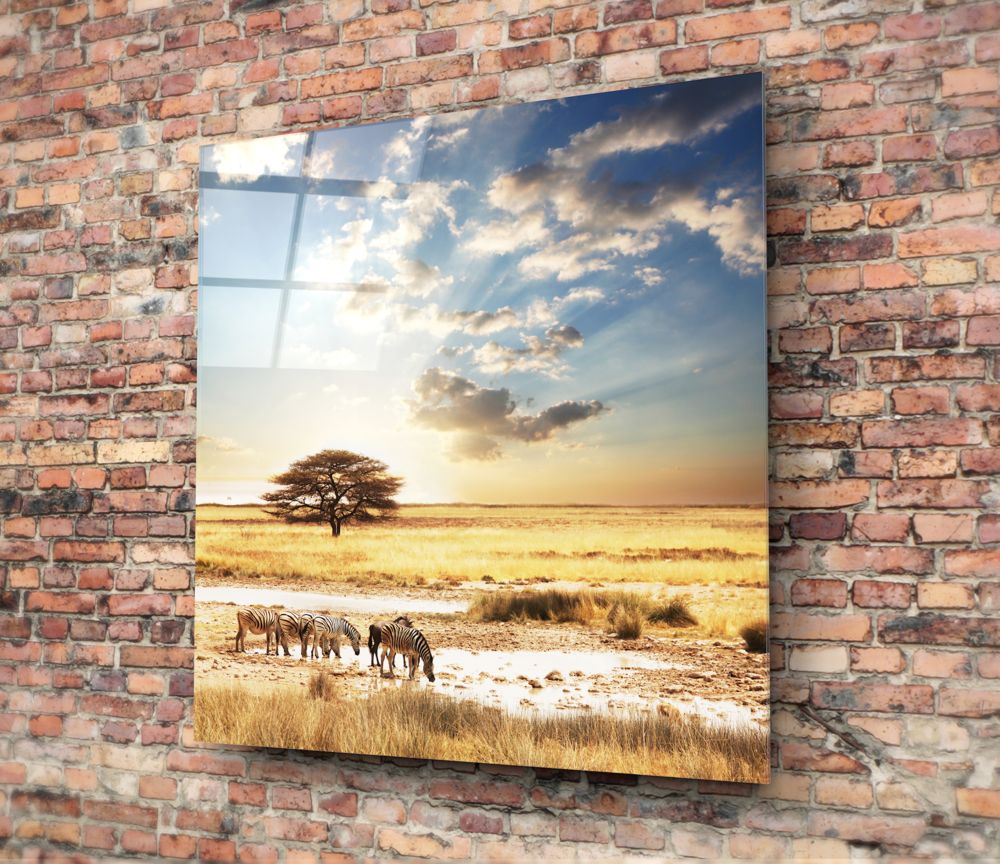 Africa (Wide Meadow) Glass Wall Art.