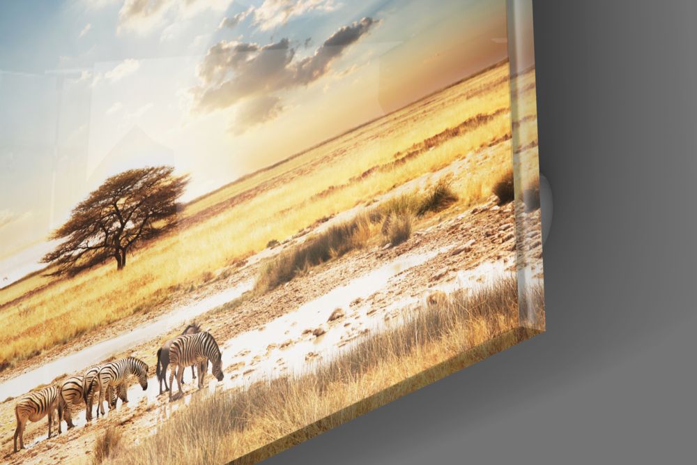 Africa (Wide Meadow) Glass Wall Art.
