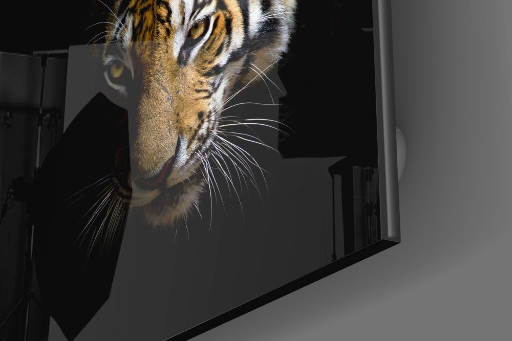 Tiger Glass Wall Art.