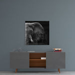 Elephant Glass Wall Art.