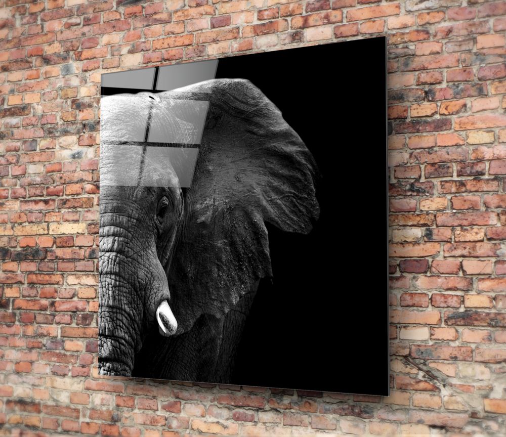 Elephant Glass Wall Art.