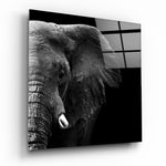 Elephant Glass Wall Art.