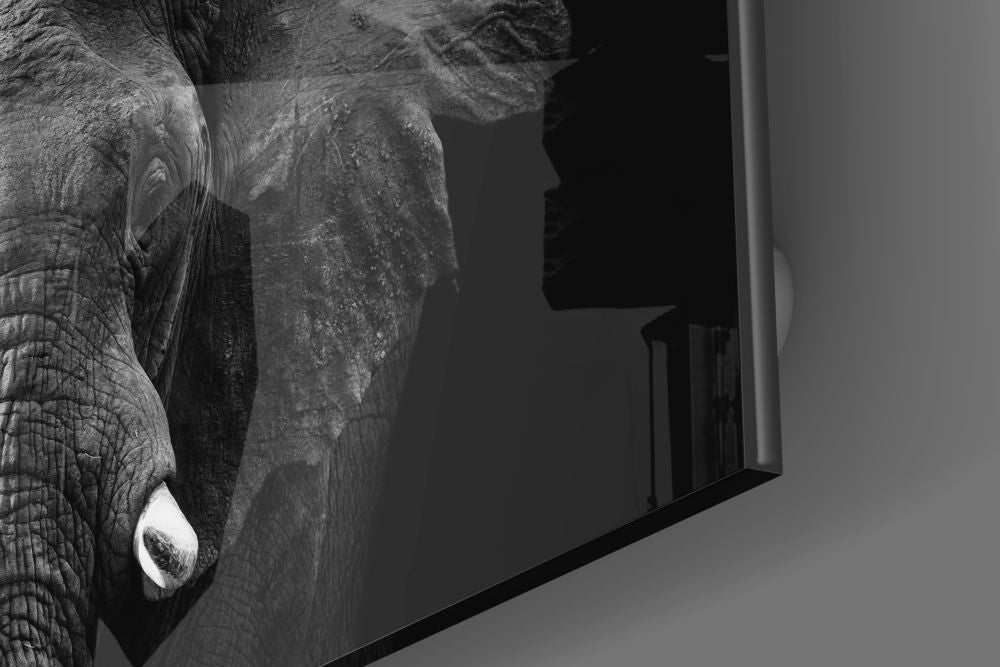 Elephant Glass Wall Art.