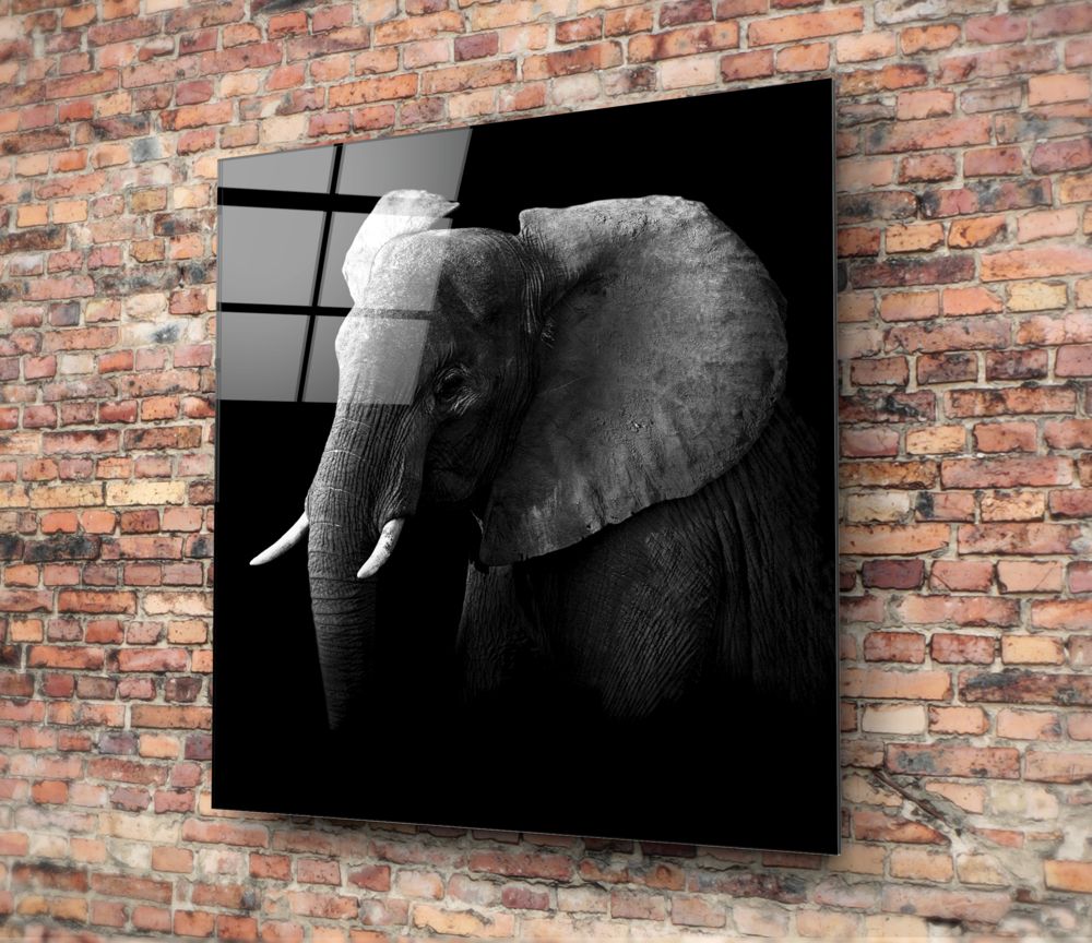 Elephant Glass Wall Art.