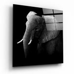 Elephant Glass Wall Art.