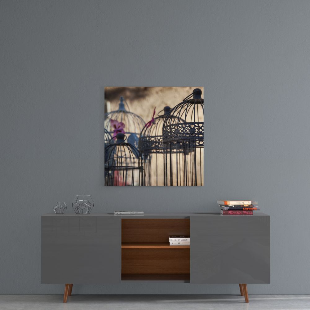 Bird Cage Glass Wall Art.