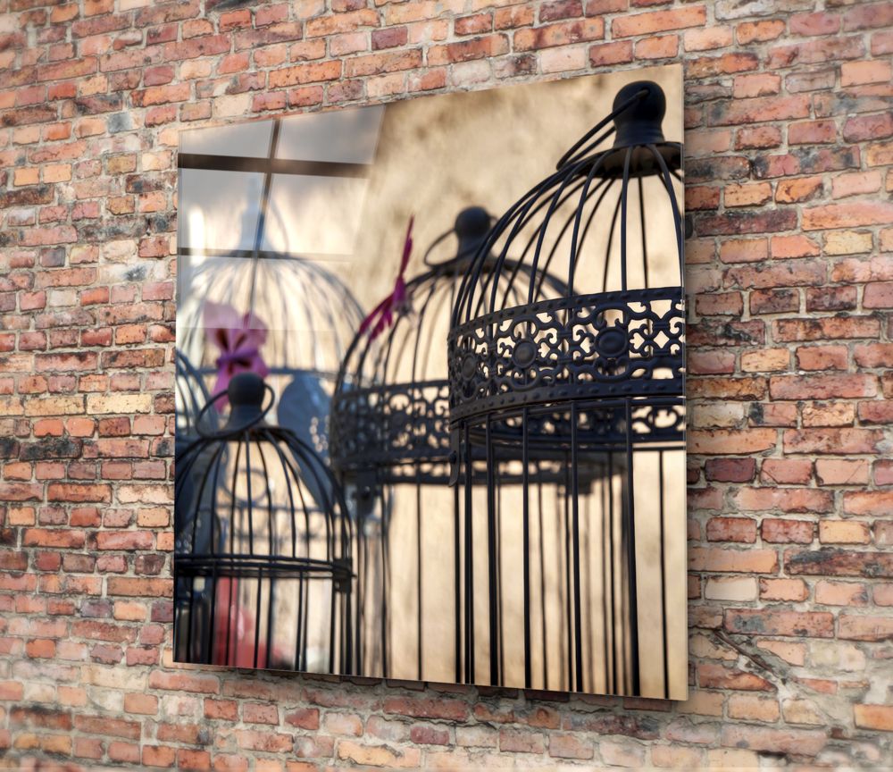 Bird Cage Glass Wall Art.