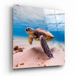 Sea Turtle Glass Wall Art.