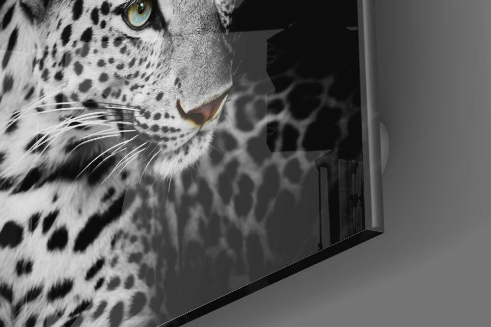 Leopard Glass Wall Art.