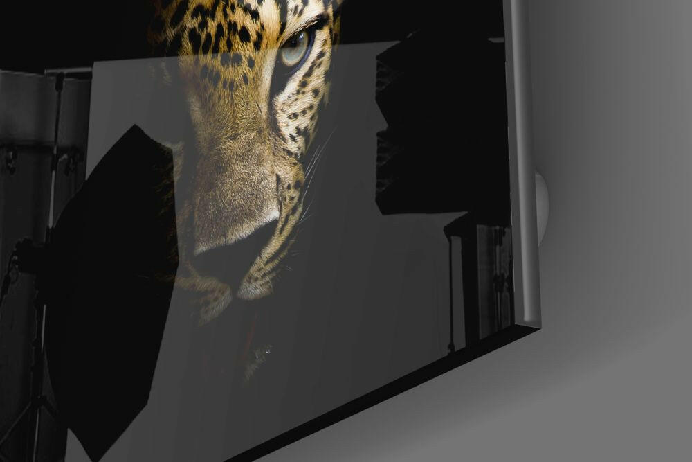 Leopard Glass Wall Art.