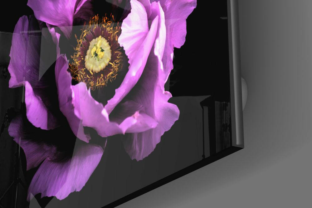 Floral Pink Glass Wall Art.