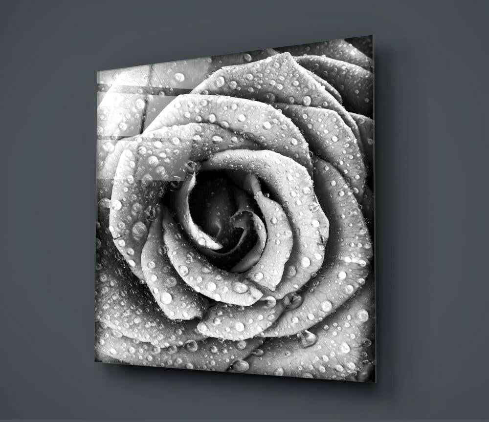 Rose Glass Wall Art.