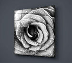 Rose Glass Wall Art.