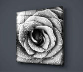 Rose Glass Wall Art.