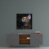 Kitten Glass Wall Art.