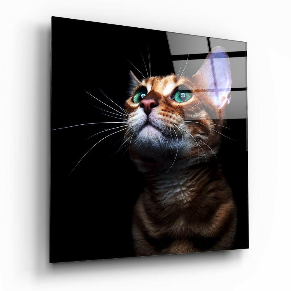 Kitten Glass Wall Art.
