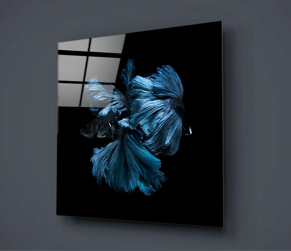 Betta Fish Glass Wall Art.
