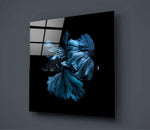 Betta Fish Glass Wall Art.