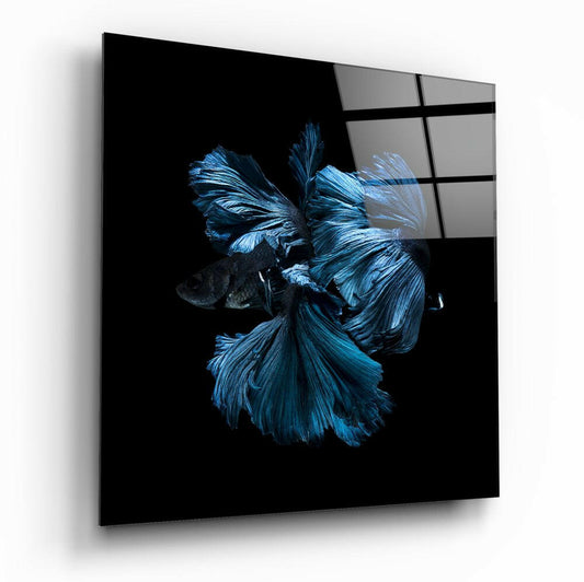 Betta Fish Glass Wall Art.