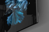 Betta Fish Glass Wall Art.
