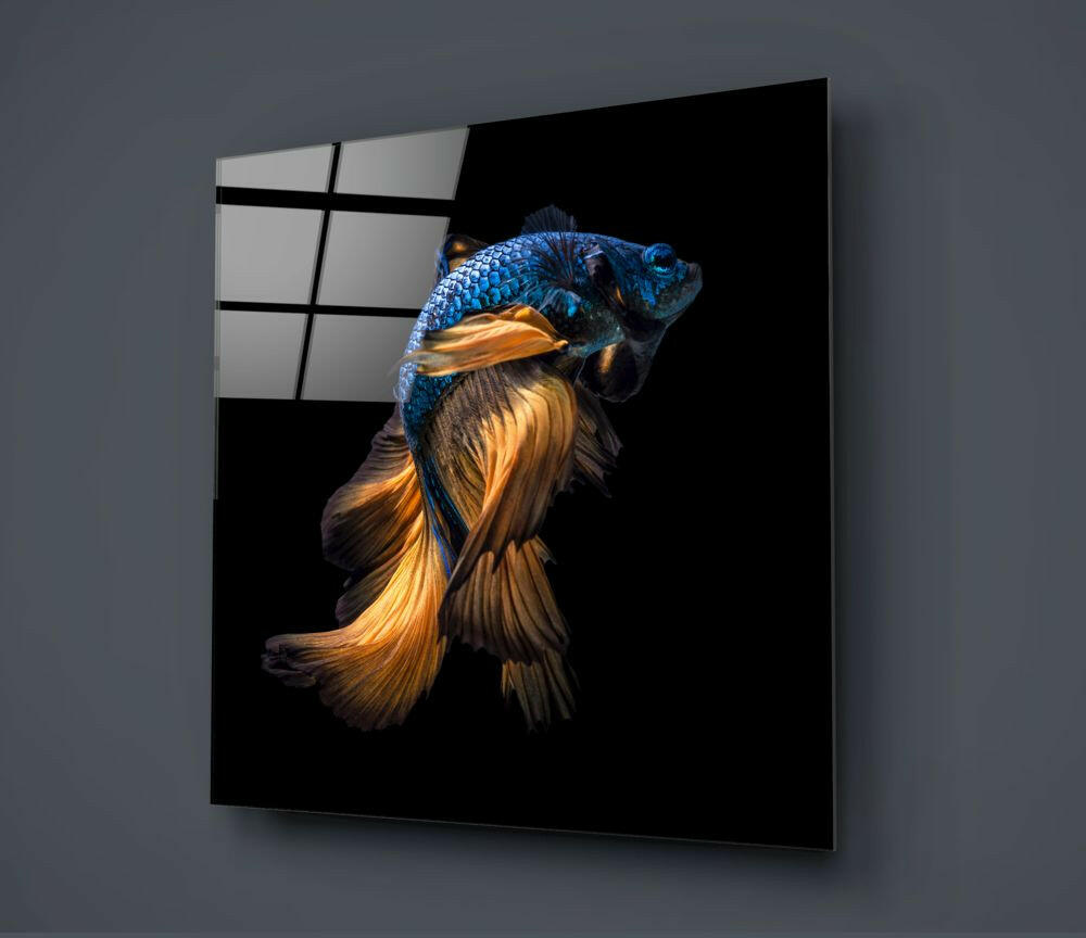 Betta Fish Glass Wall Art.