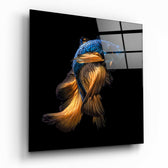 Betta Fish Glass Wall Art.