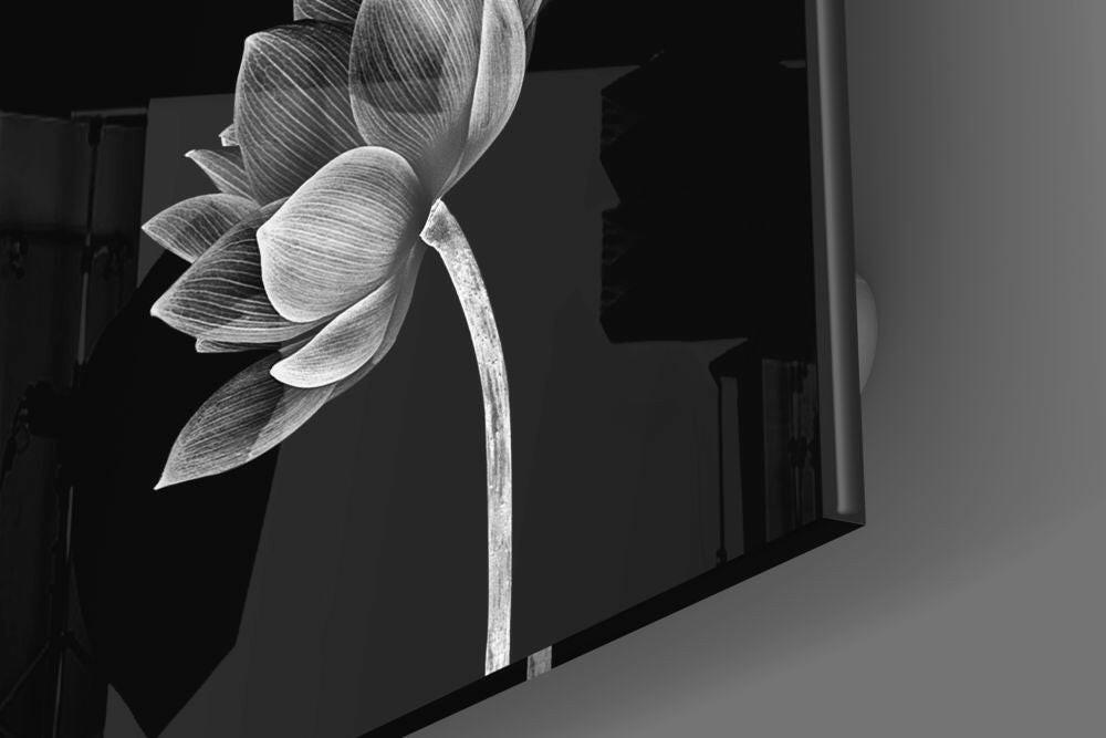 Floral Glass Wall Art.