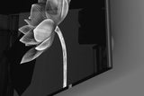 Glass Wall Art