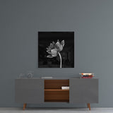 Glass Wall Art